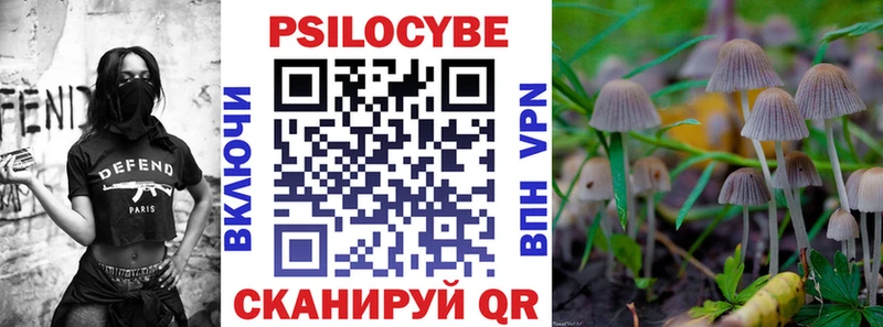 Псилоцибиновые грибы Psilocybe  Великие Луки 