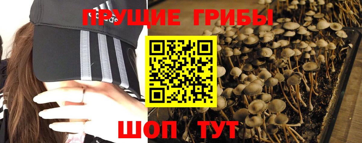 Галлюциногенные грибы ЛСД  Вход с VPN  Великие Луки  Псилоцибиновые грибы GOLDEN TEACHER 