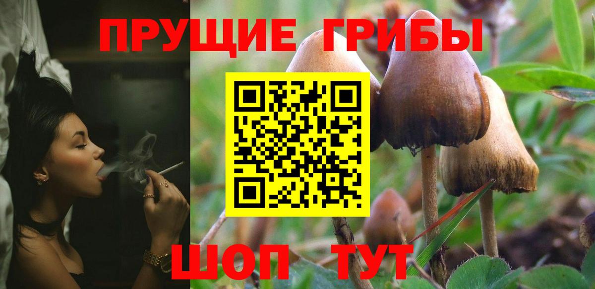 Галлюциногенные грибы ЛСД Великие Луки